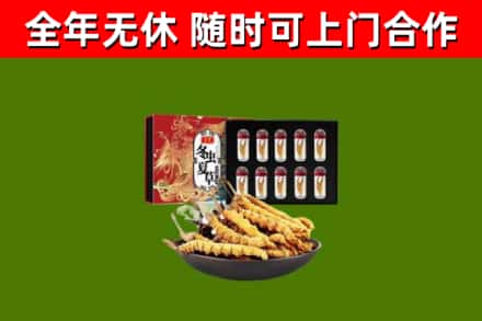 乳山回收冬虫夏草价格