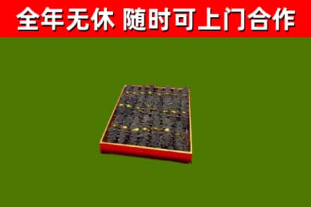乳山回收海参